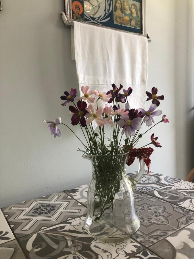 Anastasia'S House Kallirákhi Εξωτερικό φωτογραφία